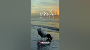 آهنگ جدید امین حبیبی هنوز دیر...
