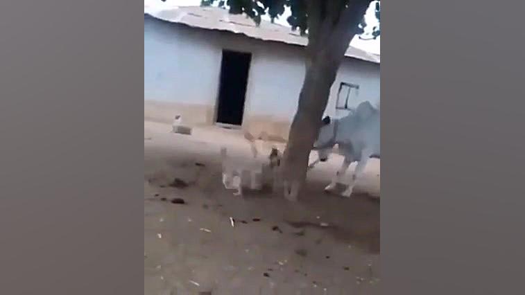 ما در مقابل سختی ها