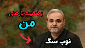 وضعیت یارهای رندوم  کالاف دیوت...