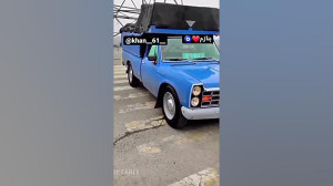 نیسون