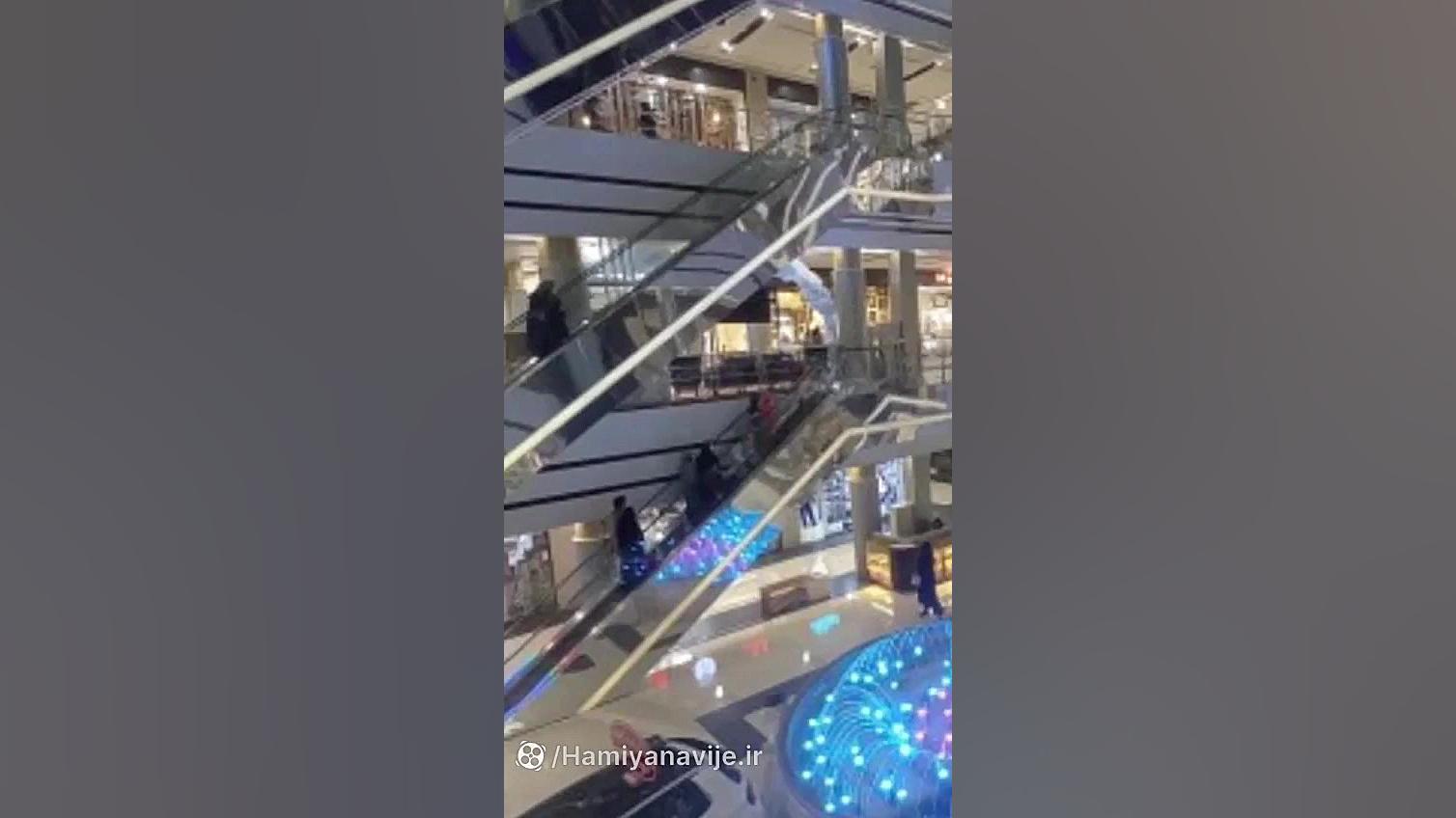 حامیان آویژه، برگزار کننده ایو...