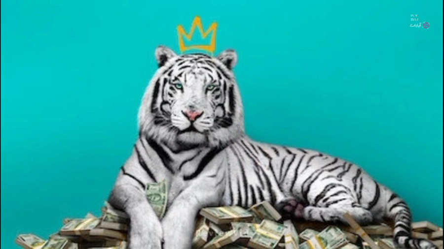 معرفی فیلم هندی ببر سفید 2021