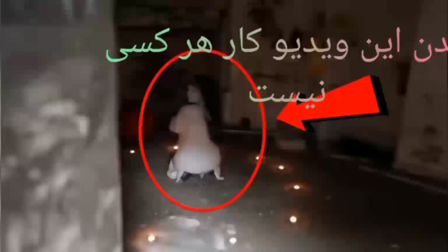 دیدن این ویدیو کار هر کسی نیست