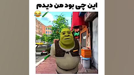 ویدیو شرک ، نبینی از دست دادی