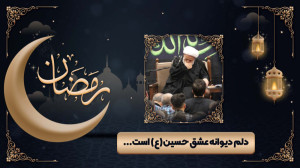دلم دیوانه عشق حسین(ع) است......