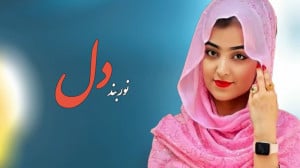 آهنگ عاشقانه افغانی | موزیک هز...