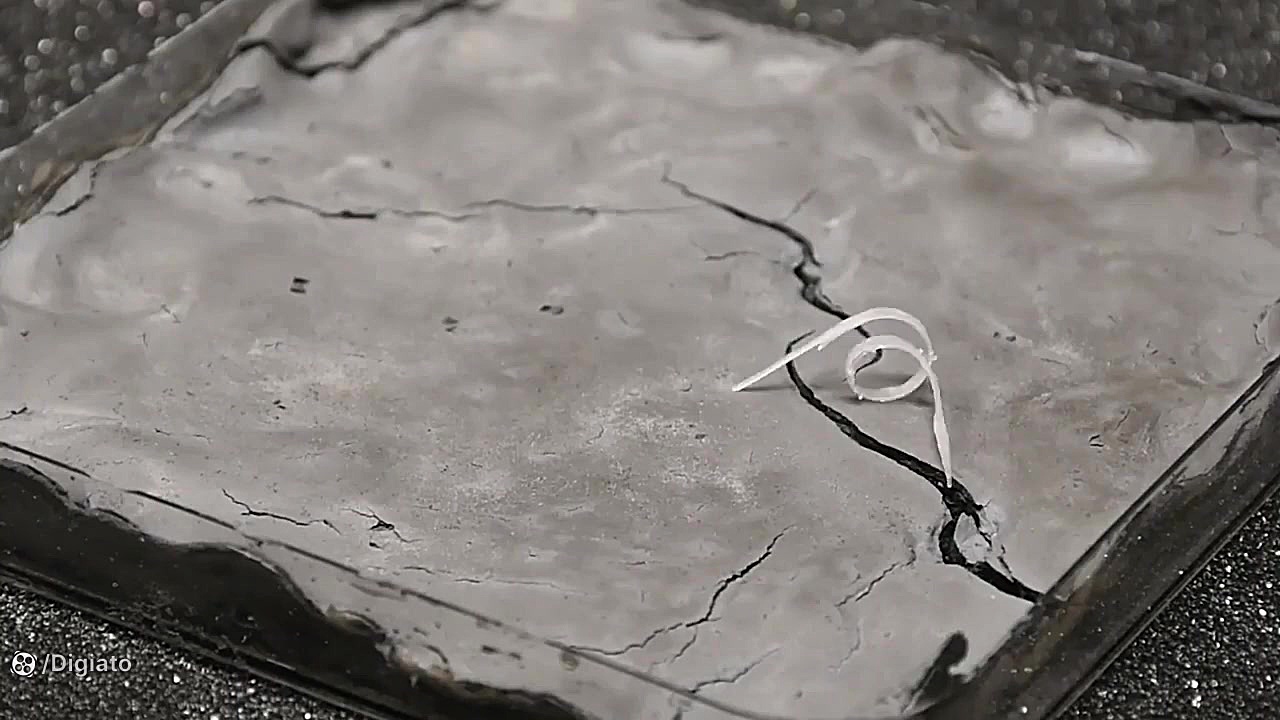 این ربات ناظر محیط زیست با تغی...