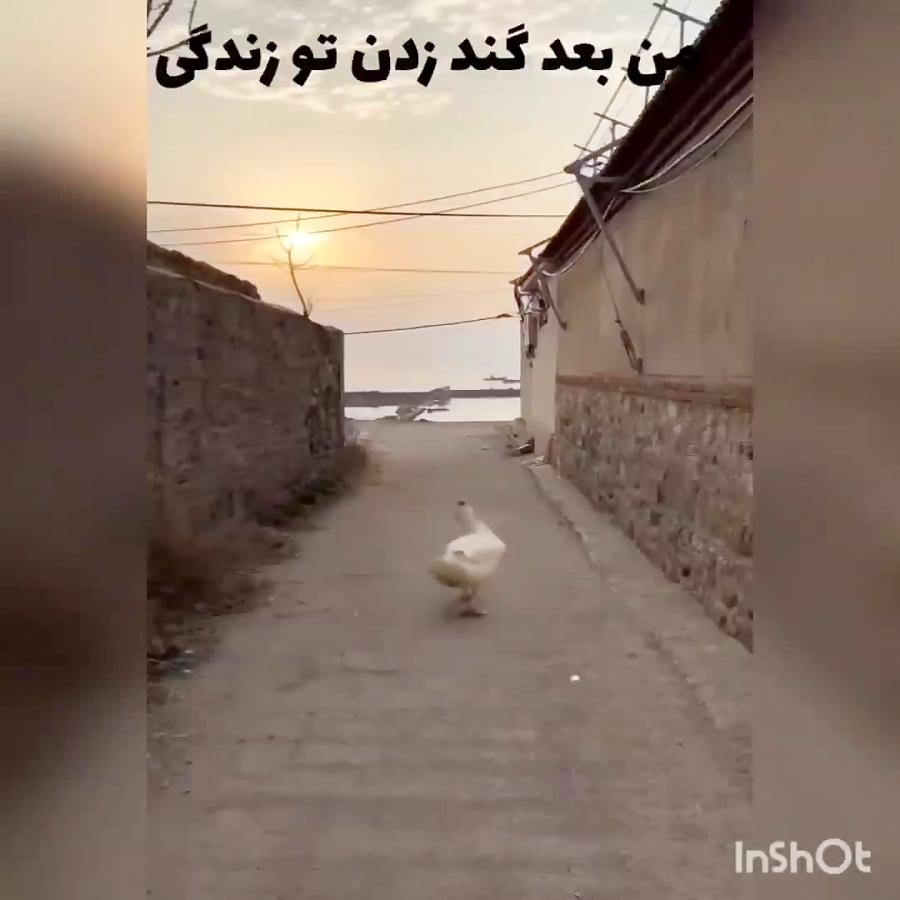 من بعد از گند زدن تو زندگی