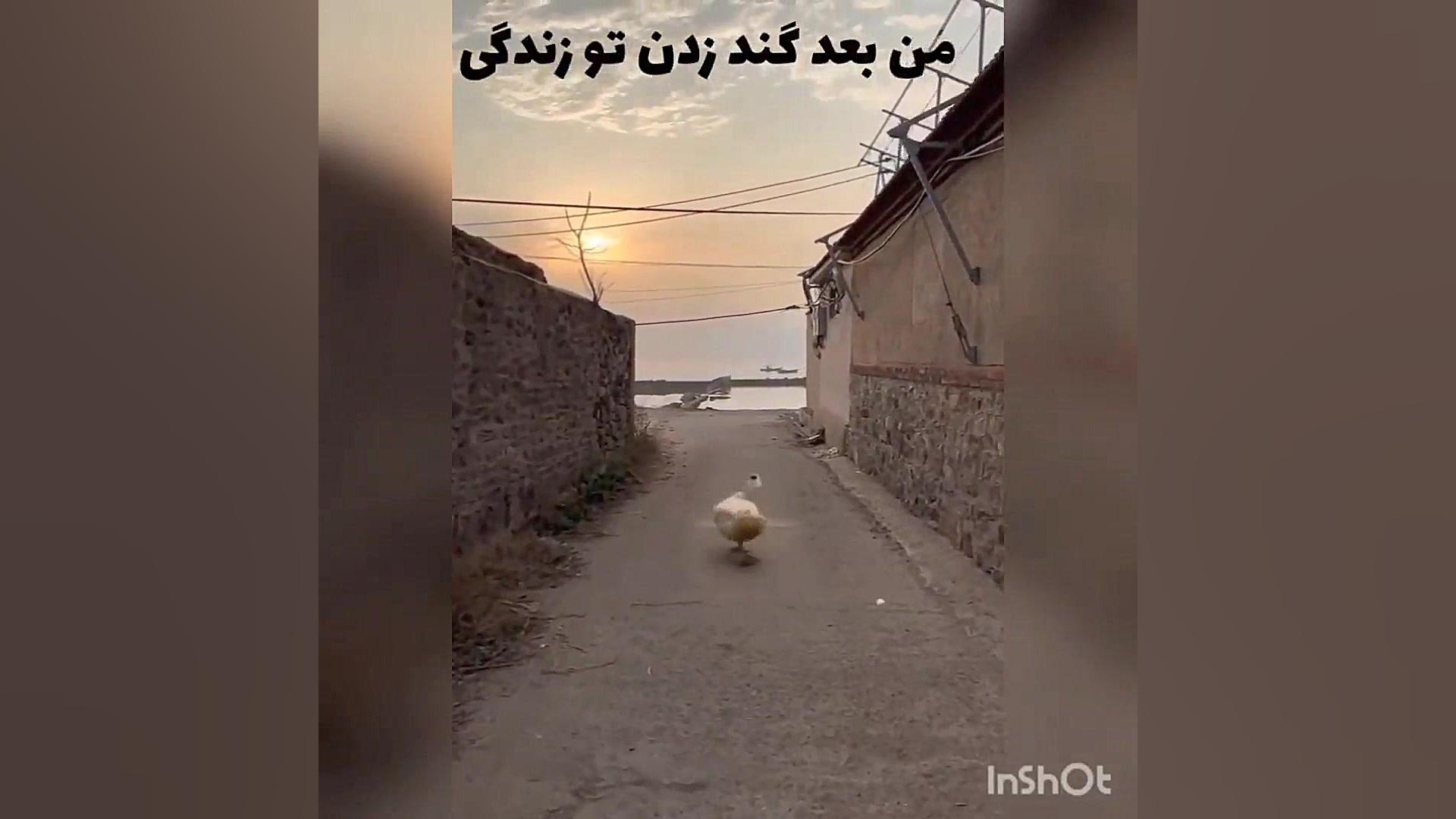 من بعد از گند زدن تو زندگی