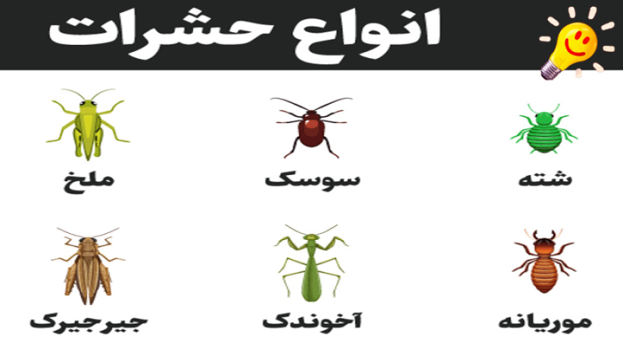 از بین بردن دائمی سوسک ها در م...