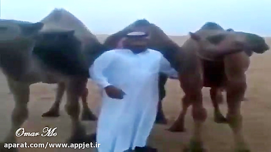 اصرار مردم عربستان بر بوسیدن ش...