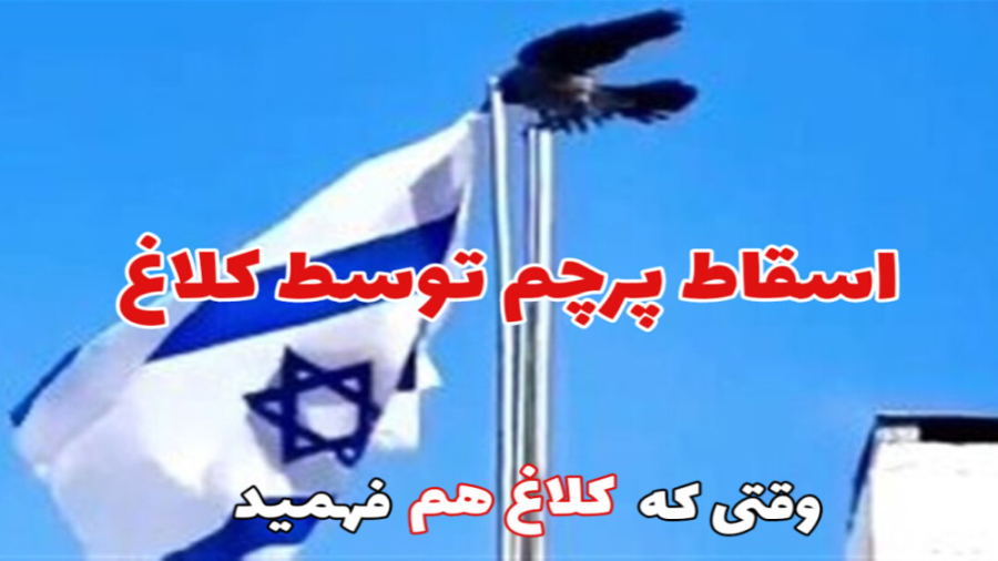 وقتی که کلاغ هم فهمید اما برخی...