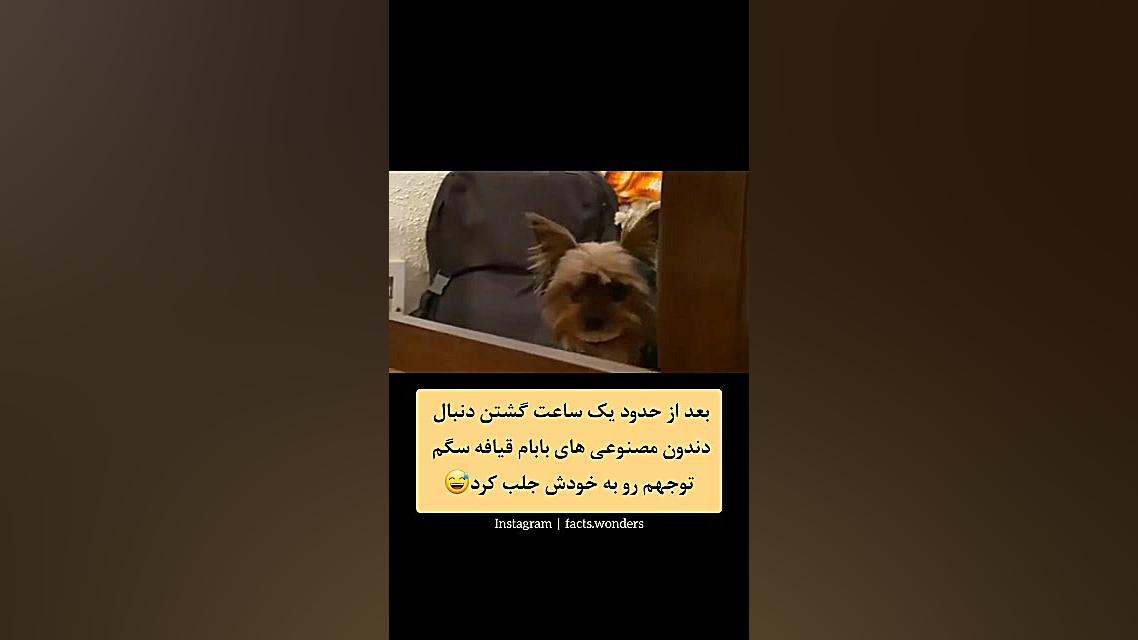 باه باه سگه بسیار گشنگ شده