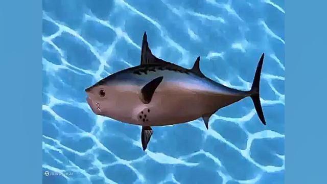 فیلم باب اسفنجی