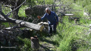 چاقو دسته خودش را برید قطع ۲۰۰...