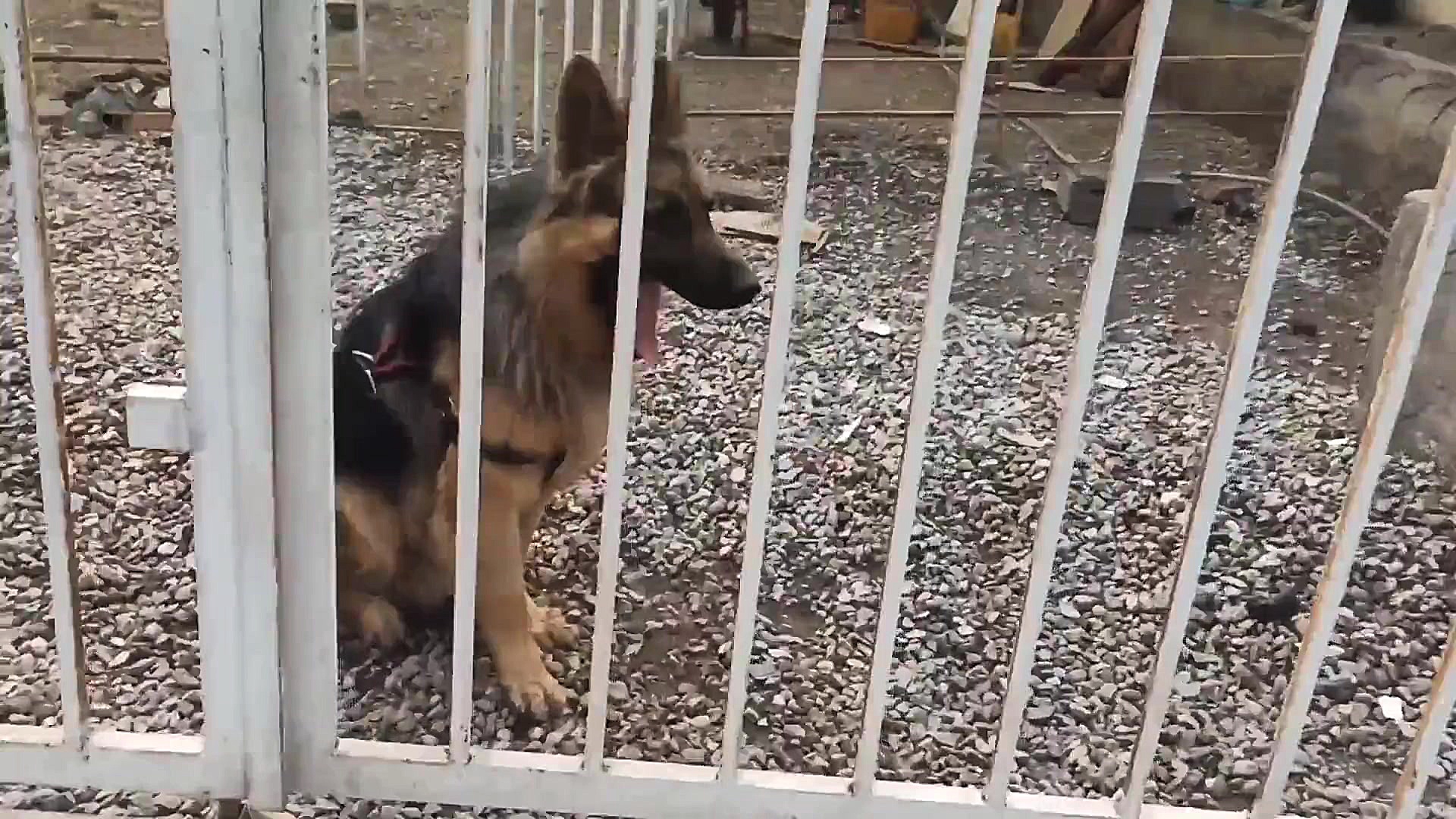 یه نیمچه ولاگ