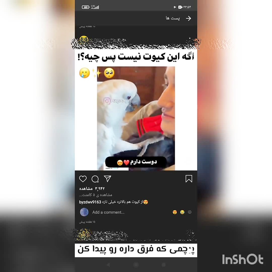 کلیپهای روبیک رو باور نکنید: