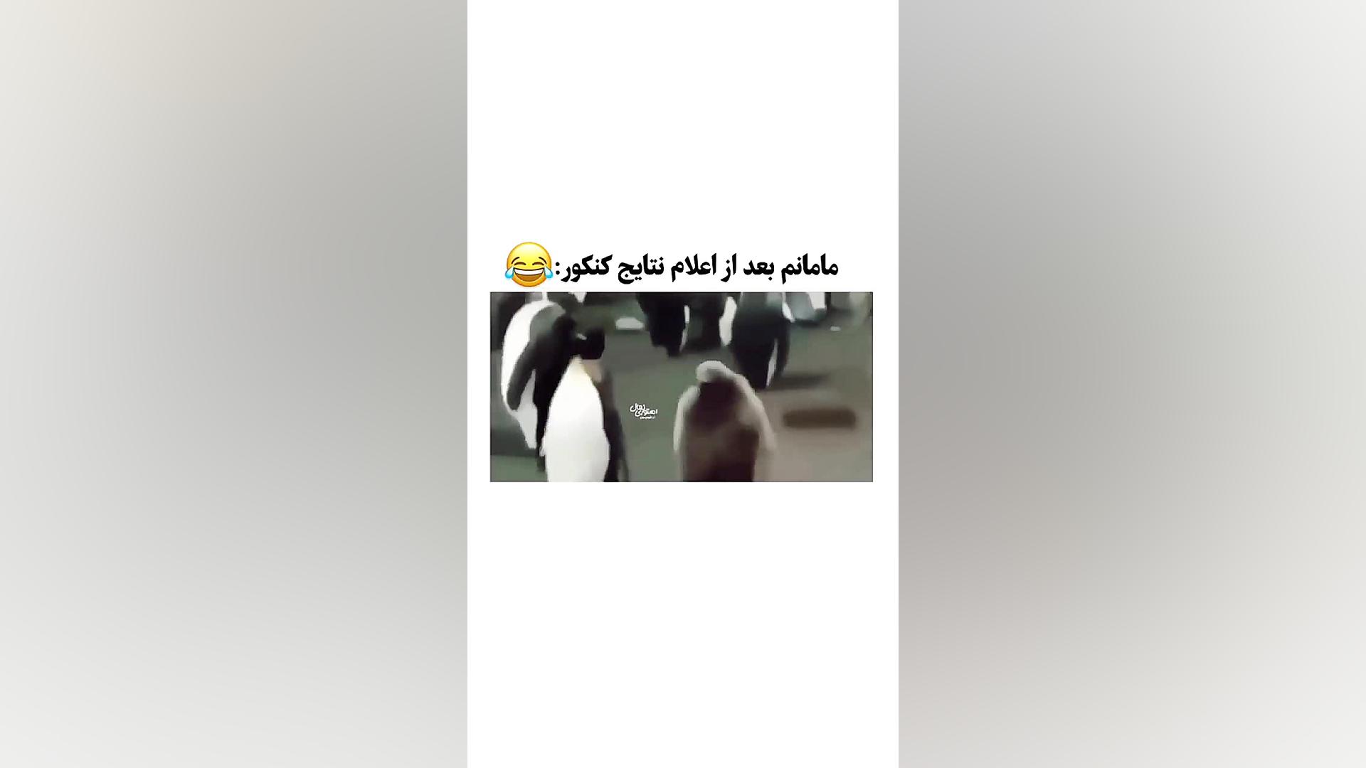 وقتی نتایج کنکور اعلام میشه  ط...