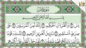 اموزش صوتی و تصویری قران توسط...