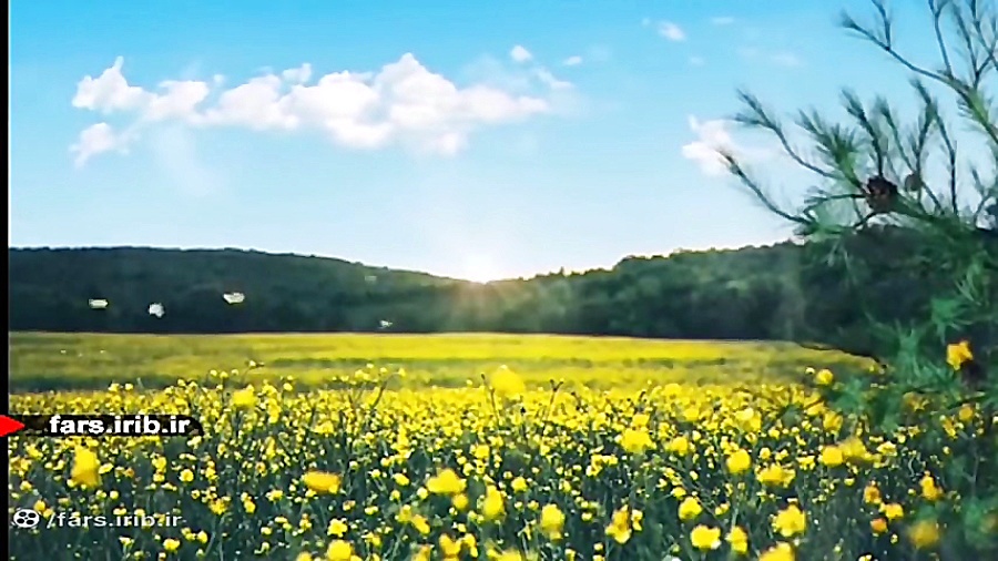 ترانه عاشقانه &quot; بر سر دو...