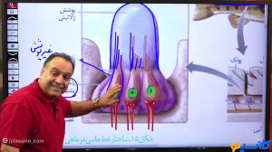 جلسه کارگاه زیست جانوری دهم و...