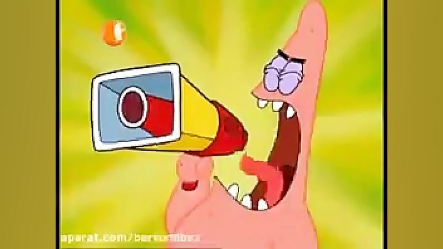 باب اسفنجی جدید