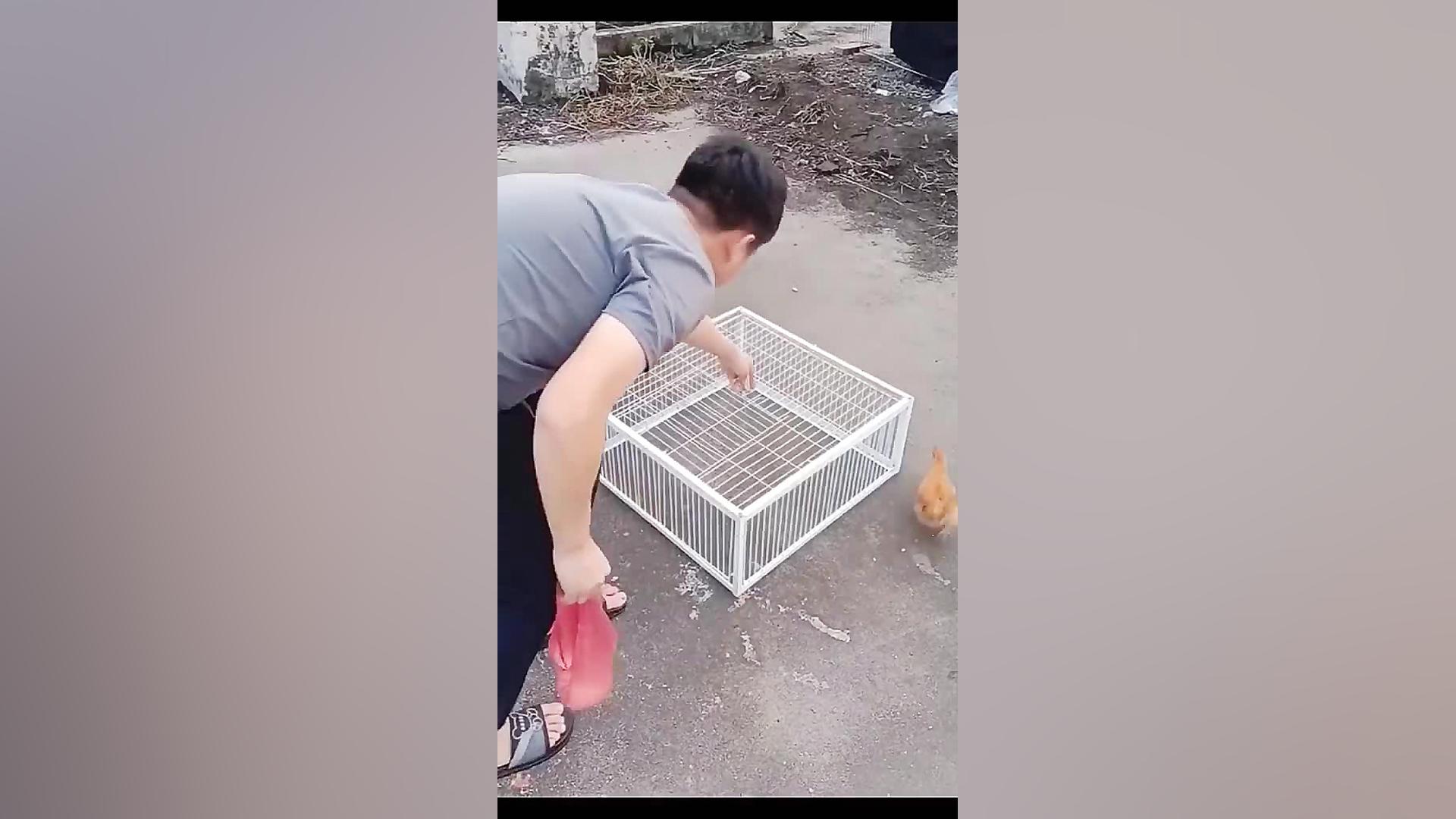 تله منحصر بفرد