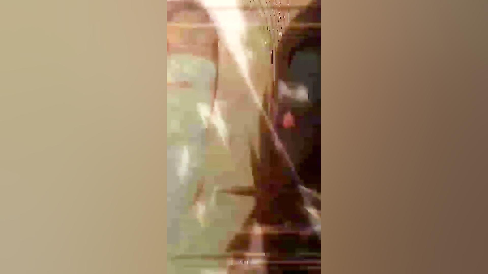 انیمه کلیپ جدید