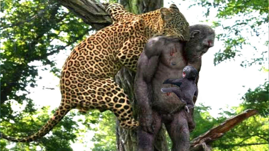 نبرد حیوانات 2023  نبرد نابراب...