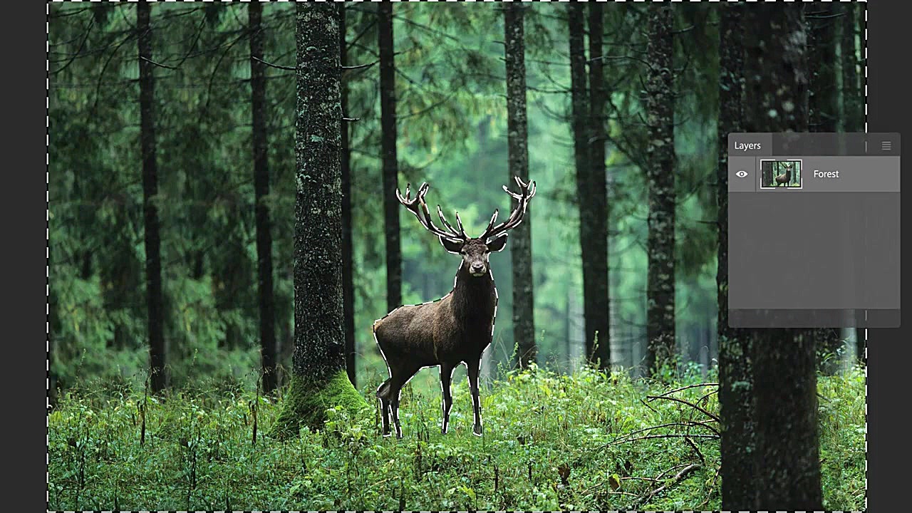 با قابلیت هوش مصنوعی جدید فتوش...