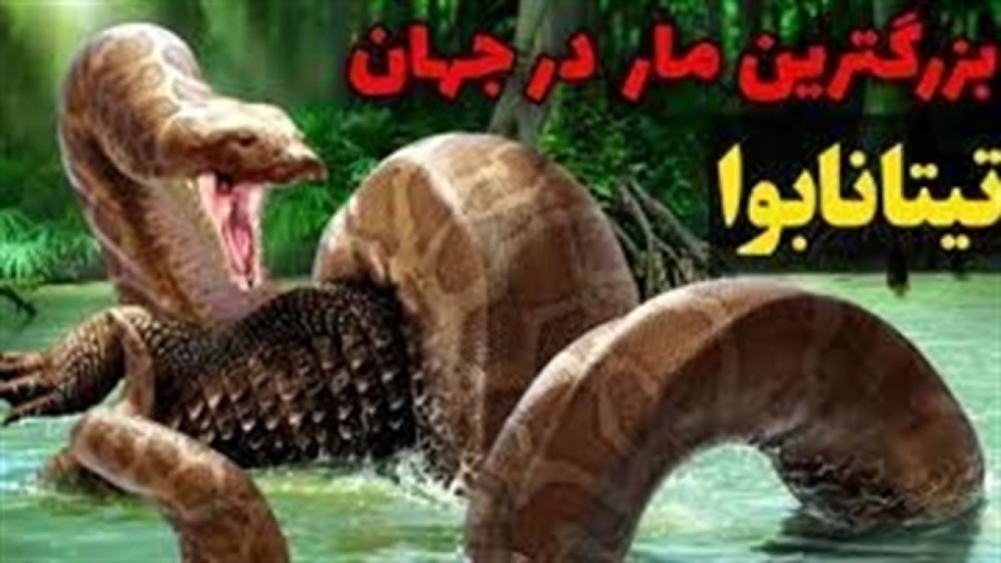 تیتانابوا بزرگترین مار کشف شده...