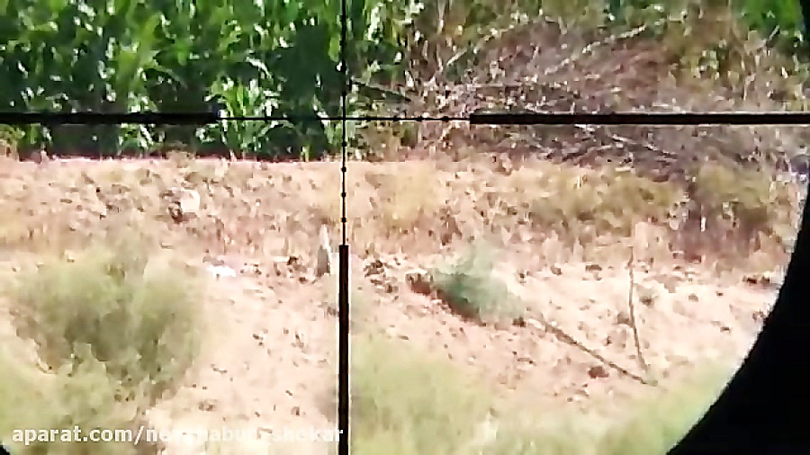 هدف زنی 110 متر پانچر مکسی