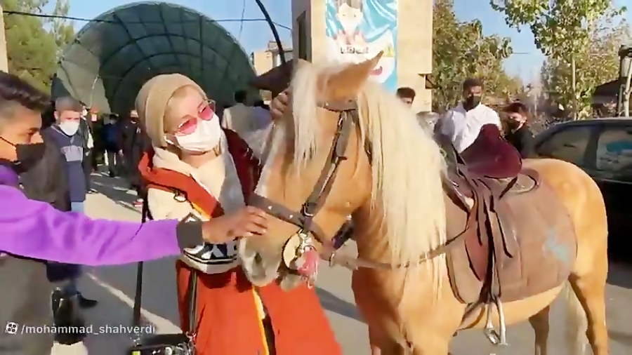 پریسا پور بلک ولاگ سفر به مشهد...