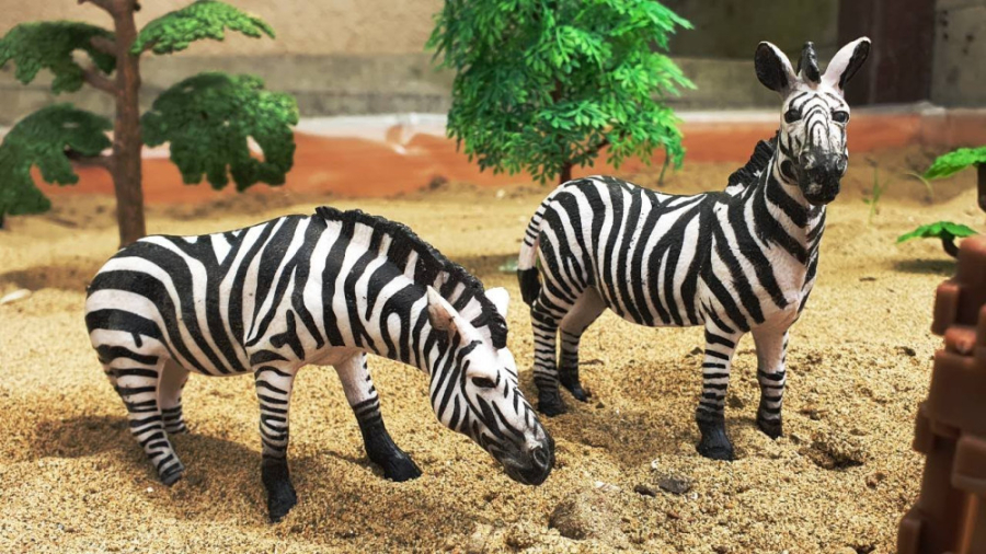 برنامه کودک حیوانات  باغ وحش ح...