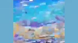 چیپس میخوری شرک