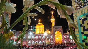 ای صفای قلب زارم یا علی موسی ا...