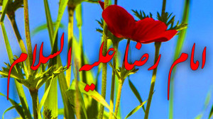 کلیپ تبریک ولادت امام رضا تبری...