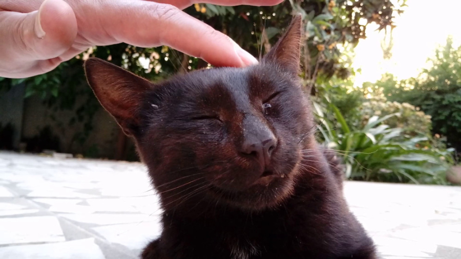 افتتاح کانال جدید جیرجیرک &raq...