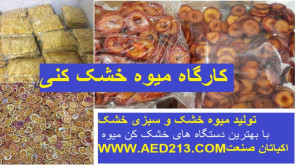 میوه خشک کن و کارگاه میوه کنی...