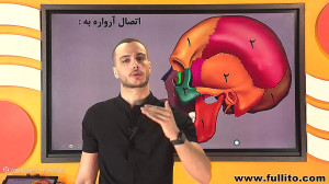 جمع بندی زیست کنکور به سبک فول...