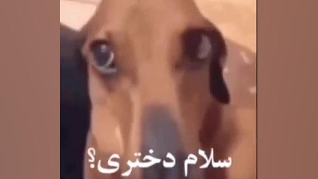 سلام دختری ؟