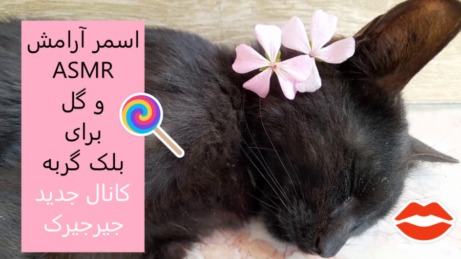 اسمر آرامش ASMR و گل برای بلک...