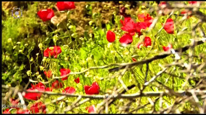این روزها  عرفان طهماسبی