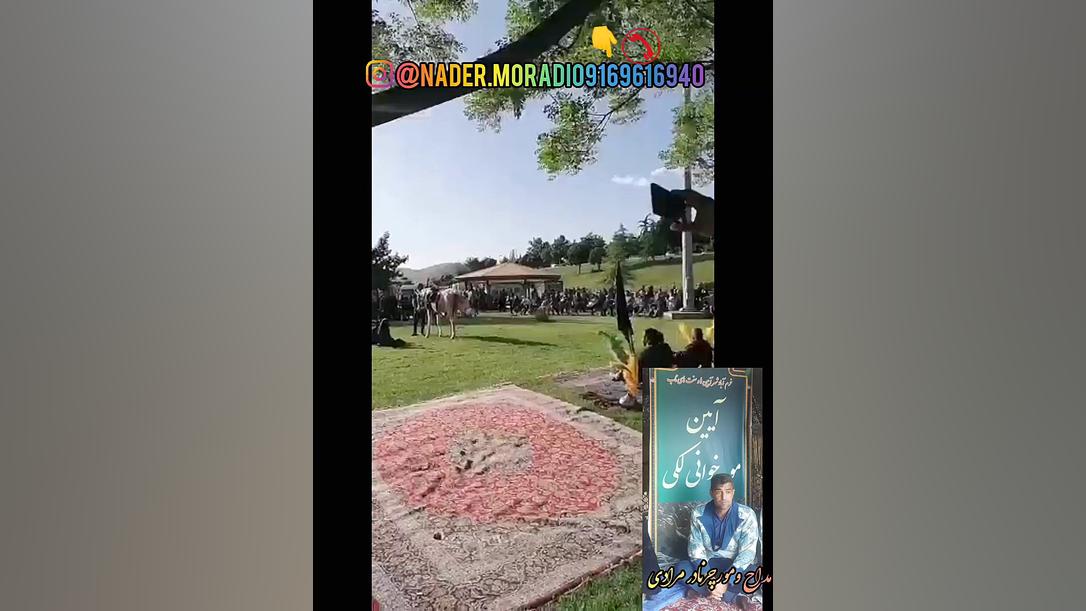 مور لکی نادر مرادی