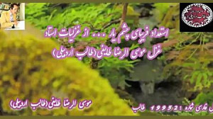 اشعار زیبای طالب | استعداد چشم...