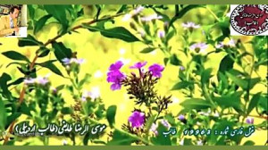 شورخیال شاعر | دکلمه شنیدنی شا...