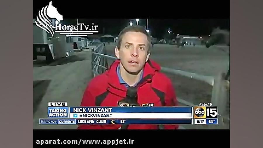 گزارش از مسابقات اسب عرب خارجی