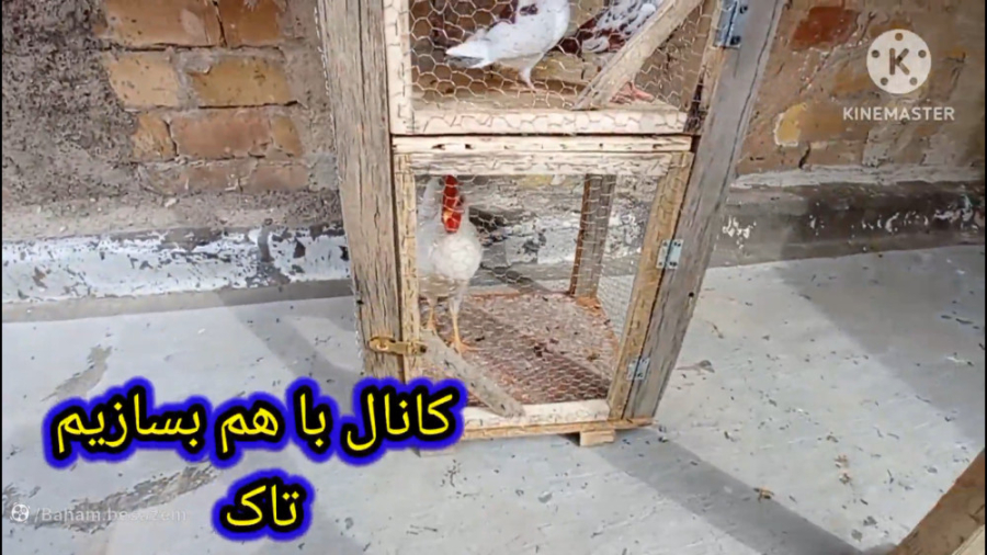 نحوه ساختن قفس چوبی همون جفتگا...