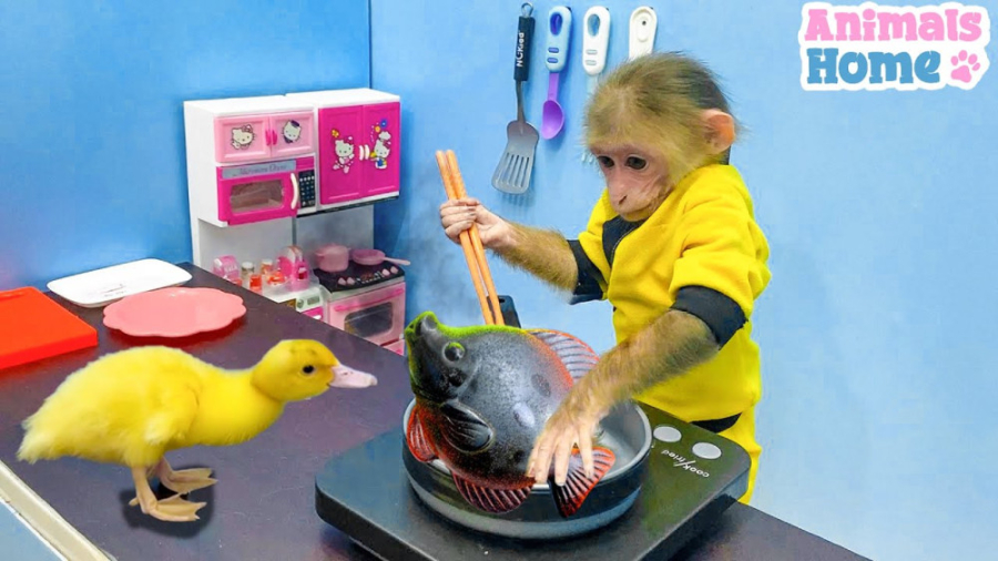 میمون بازیگوش  بچه میمون برای...