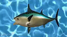 باب اسفنجی باب اسفنجی باب اسفن...